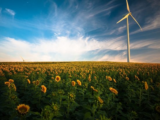 Energie rinnovabili, una scelta obbligata anche per le aziende
