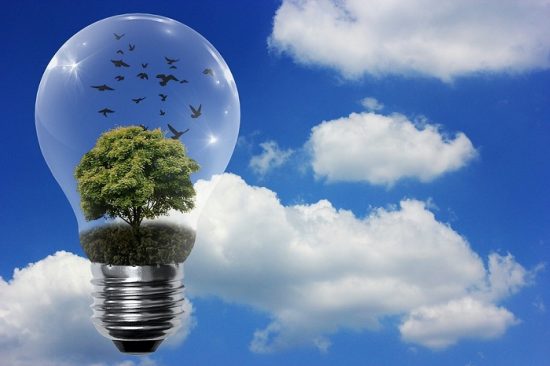 Rinnovabili: più 50% nei prossimi 5 anni