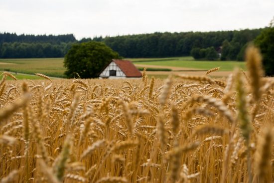 Mulino Bianco in testa nella rivoluzione ecologica dell’agricoltura