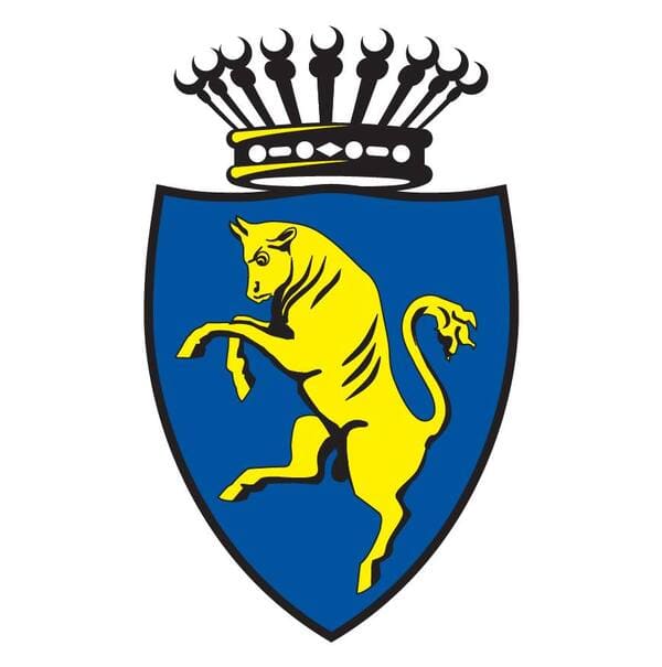Città di Torino logo