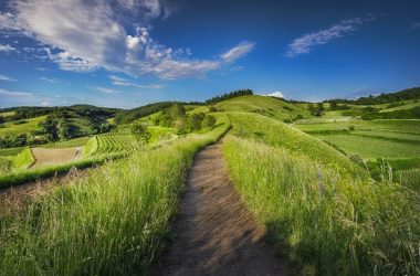 Campagna