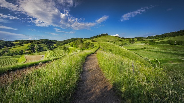 Campagna